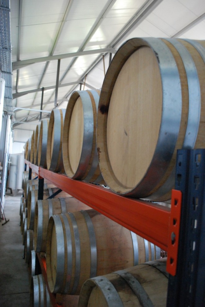 Wine Folly Names Top Wine Destinations for 2022