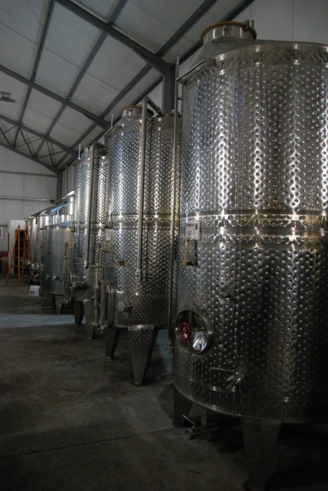 Italian Wine Map and Exploration Guide